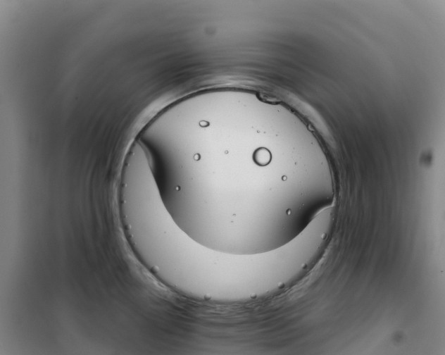 X0000100371338200807031853