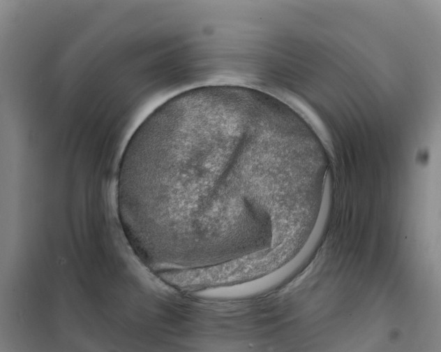 X0000100371340200807031853