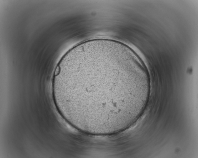 X0000100371341200807031853