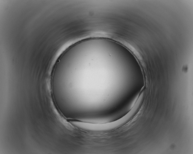 X0000100371342200807031853