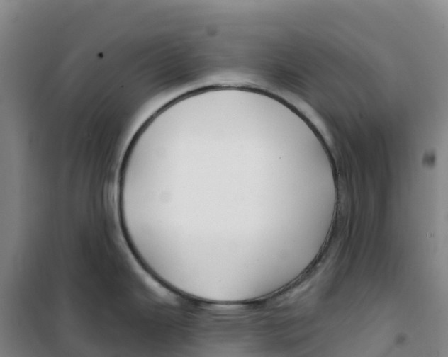 X0000100371343200807031853