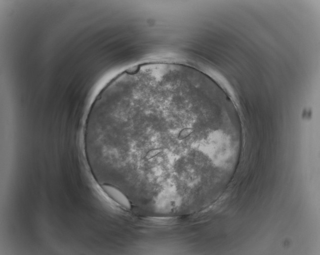 X0000100371344200807031853