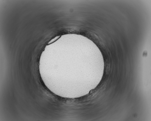 X0000100371345200807031852