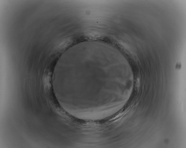 X0000100371346200807031852