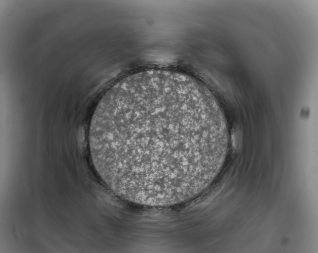 X0000100371347200807031852