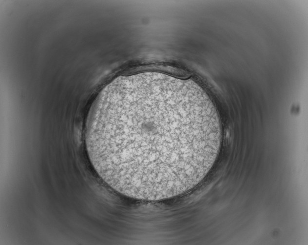 X0000100371348200807031852