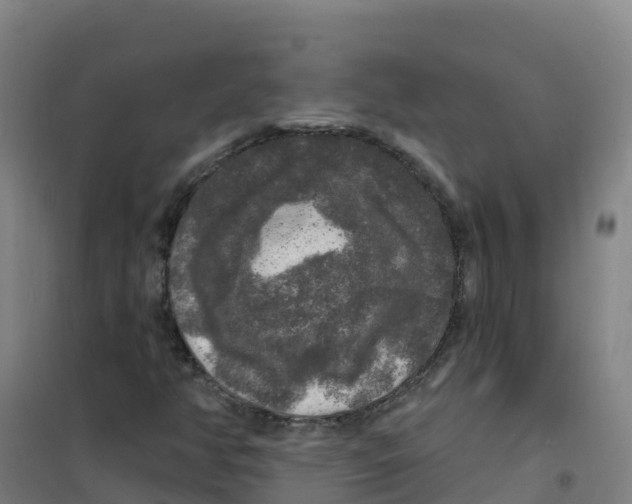 X0000100371350200807031852