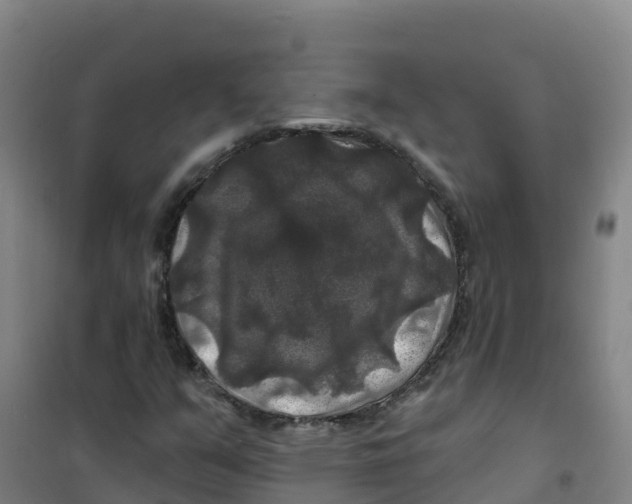 X0000100371351200807031852