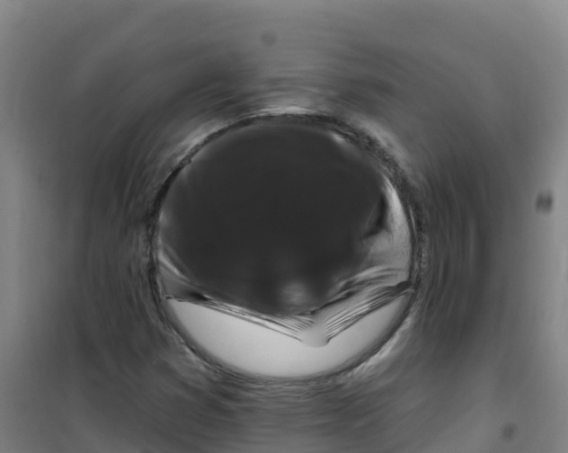 X0000100371353200807031852