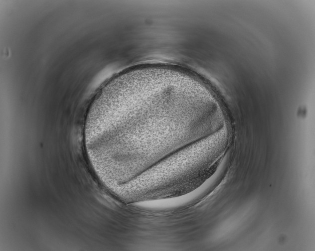 X0000100371355200807031852