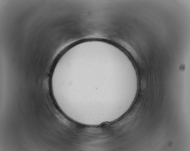 X0000100371356200807031852