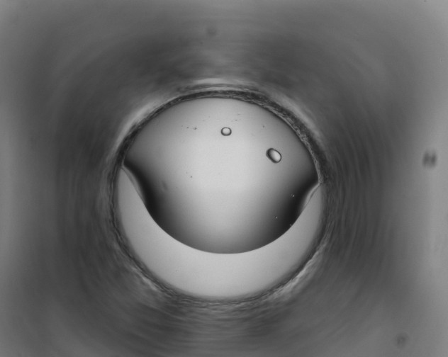 X0000100371357200807031852