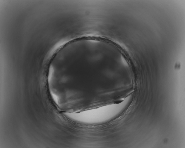 X0000100371359200807031852