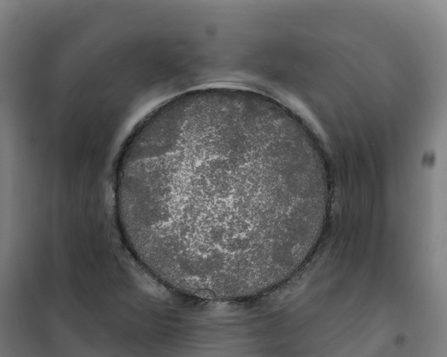 X0000100371360200807031852