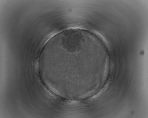 X0000100371361200807031852