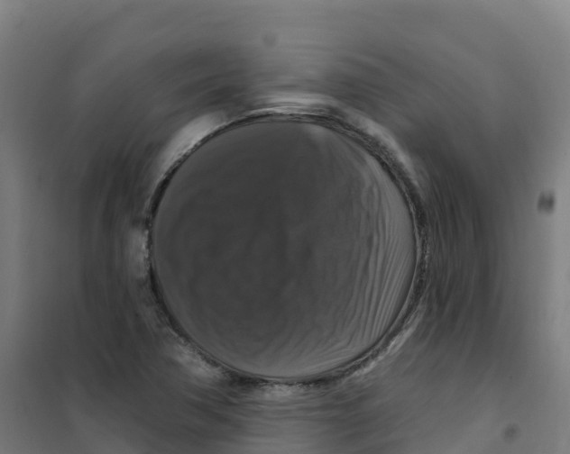 X0000100371362200807031852