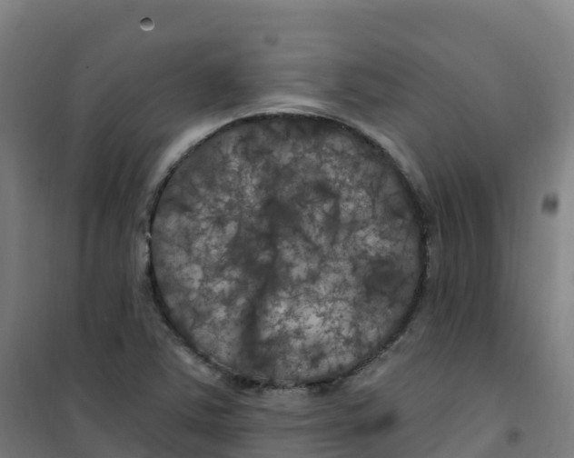 X0000100371363200807031852