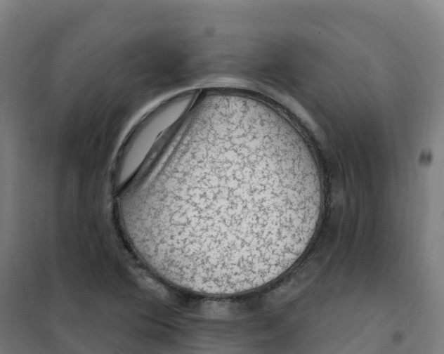 X0000100371364200807031852