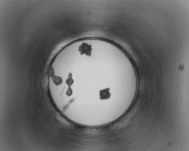 X0000100371366200807031852