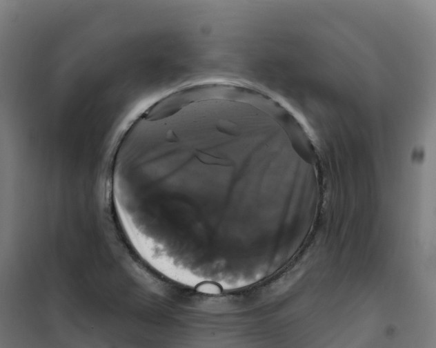 X0000100371367200807031852