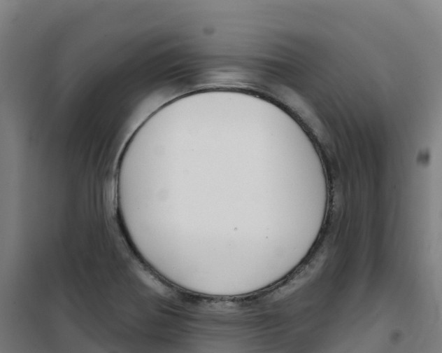 X0000100371370200807031852