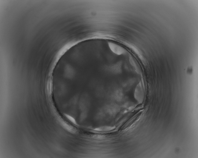 X0000100371371200807031852