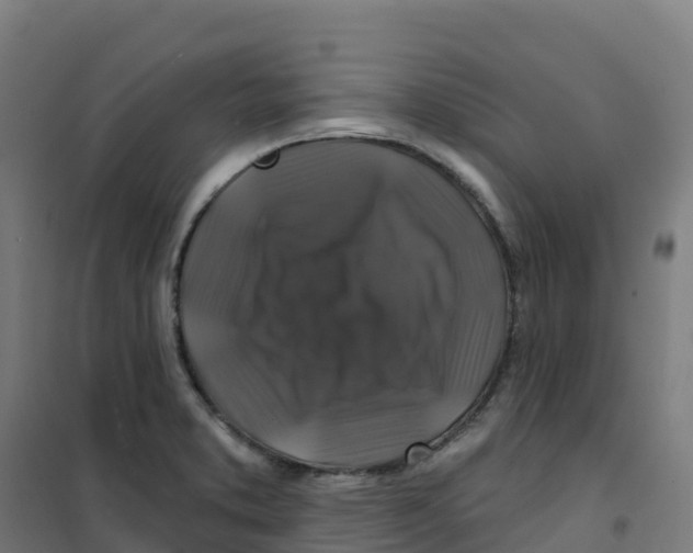 X0000100371373200807031852