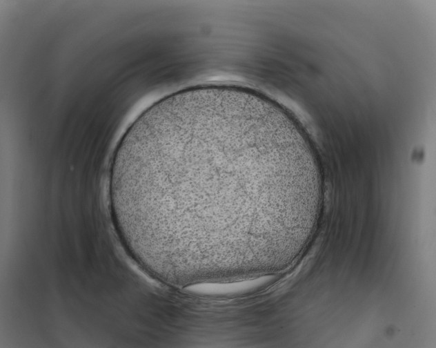 X0000100371374200807031852