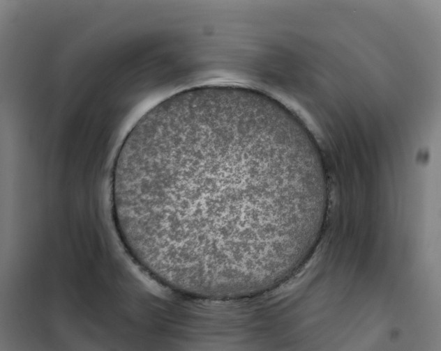 X0000100371375200807031852