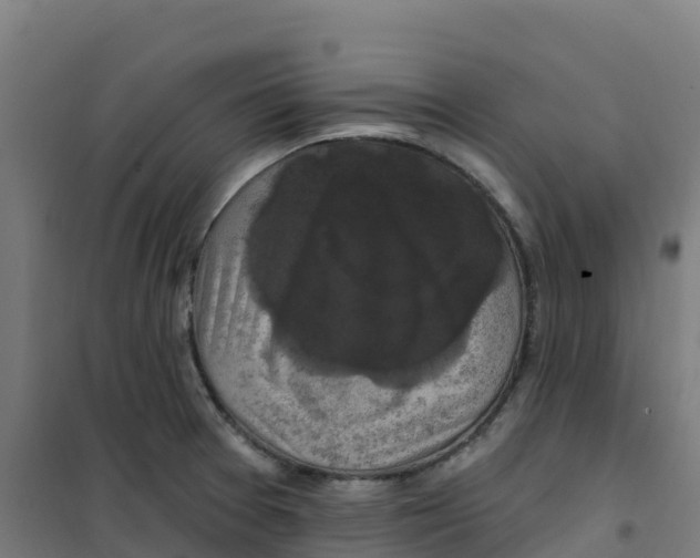 X0000100371377200807031852