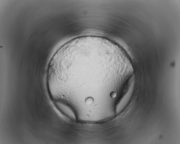 X0000100371379200807031852