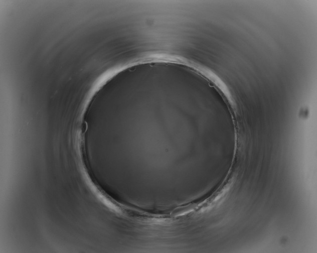 X0000100371381200807031852