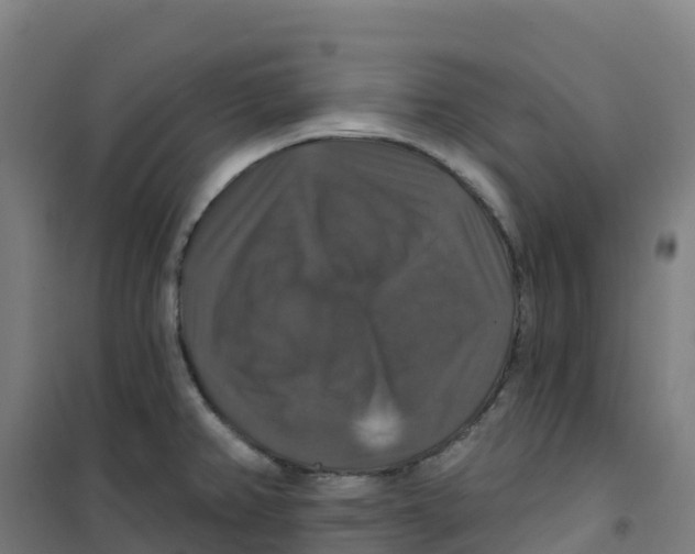 X0000100371382200807031852