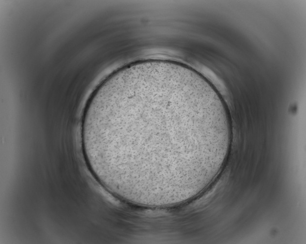 X0000100371384200807031852