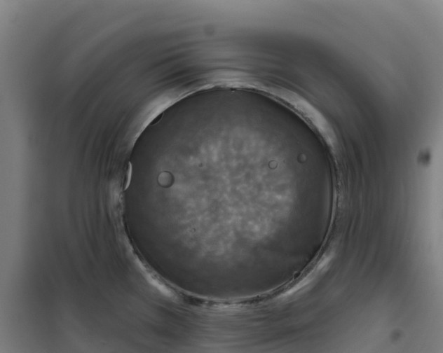 X0000100371385200807031852