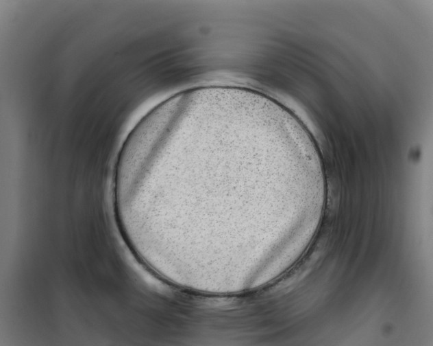 X0000100371387200807031852