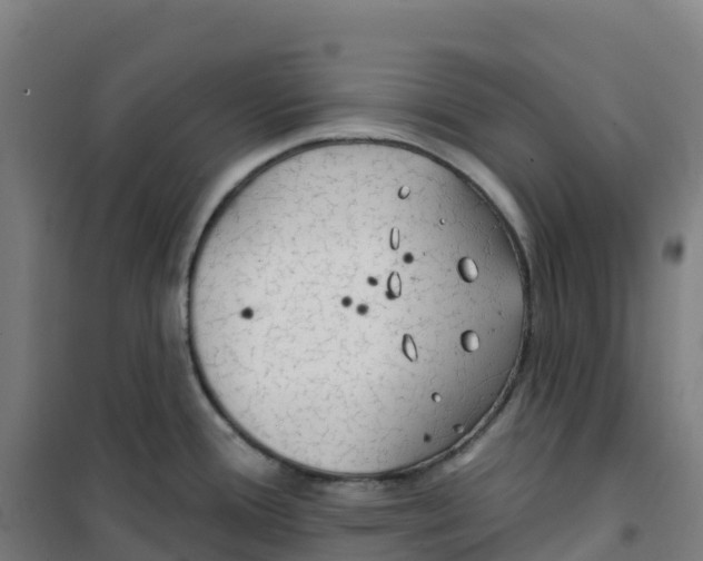 X0000100371388200807031851