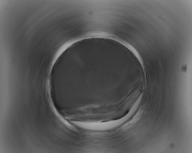 X0000100371389200807031851