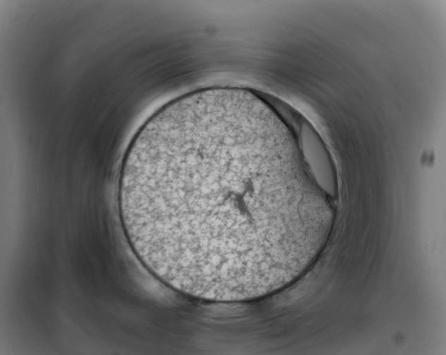 X0000100371392200807031851