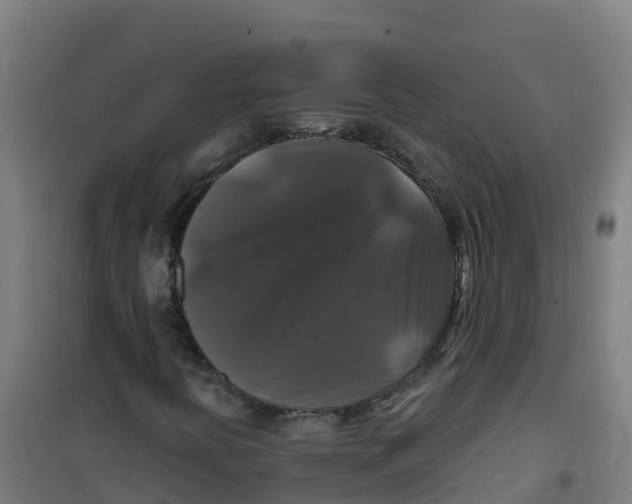 X0000100371394200807031851