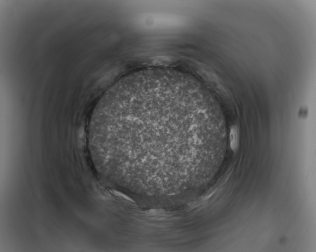 X0000100371395200807031851