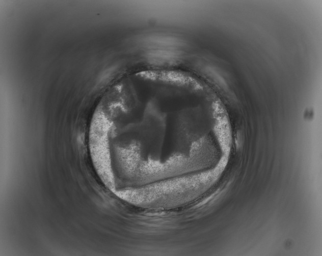 X0000100371396200807031851