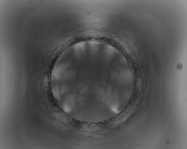 X0000100371397200807031851