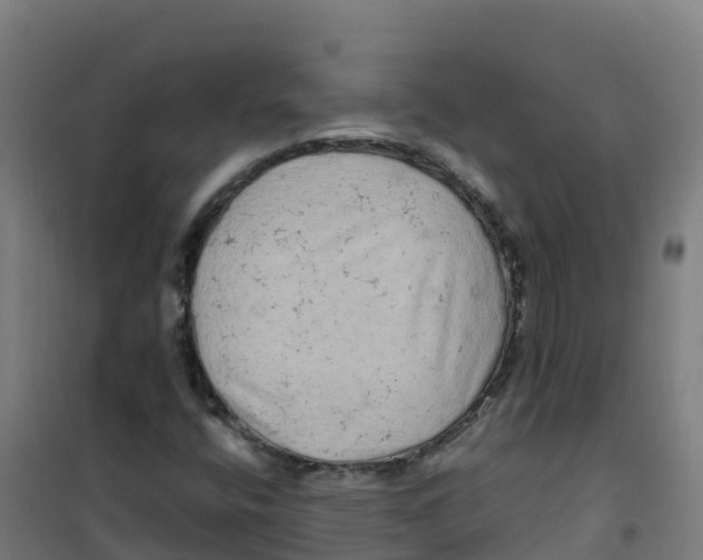 X0000100371400200807031851