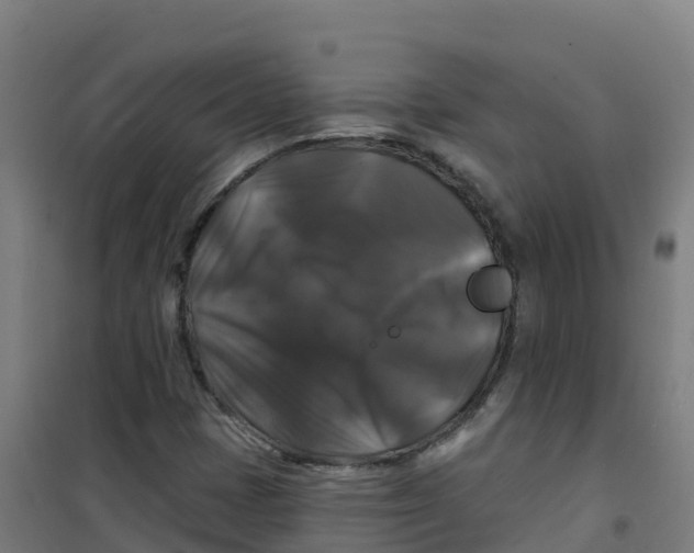 X0000100371401200807031851