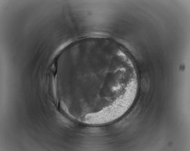 X0000100371402200807031851