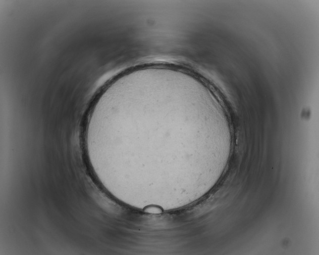 X0000100371404200807031851