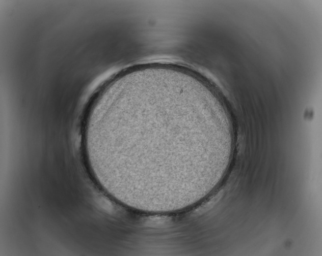 X0000100371406200807031851