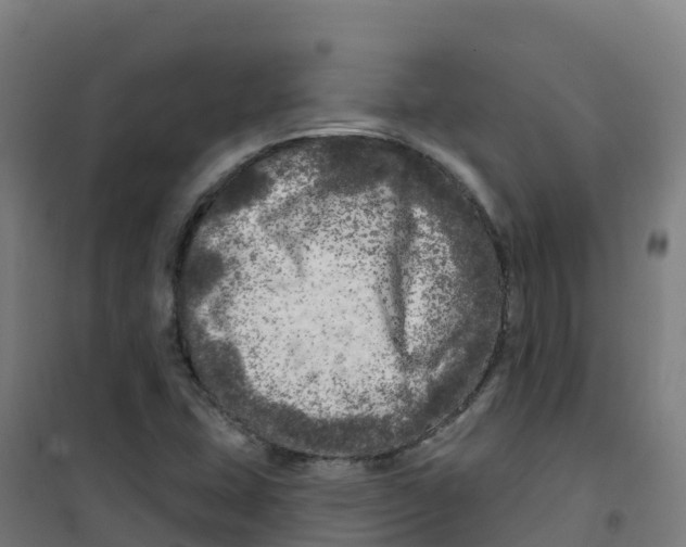 X0000100371407200807031851