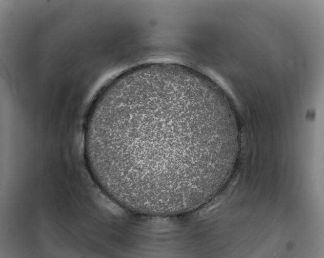 X0000100371408200807031851